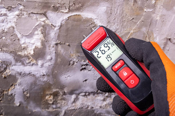 Certified Mold Removal in Southwood Acres, CT